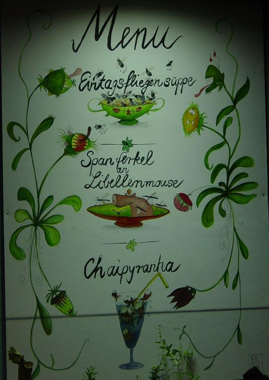 23 menu.JPG